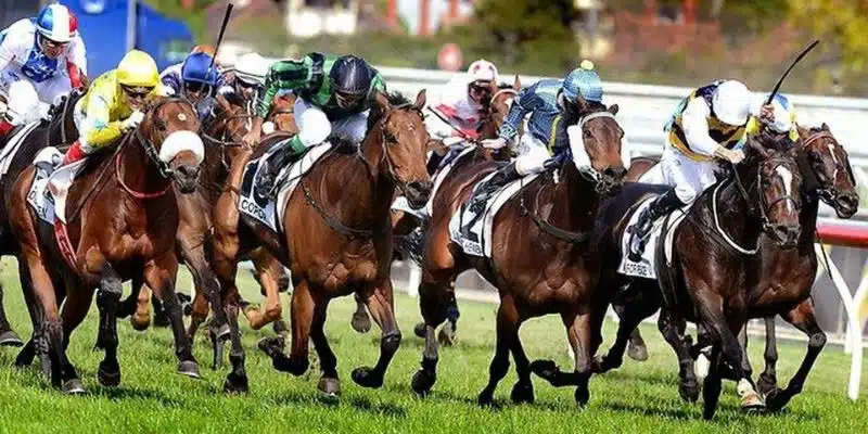 Cá cược đua ngựa đỉnh cao nhất nền tảng đổi thưởng này